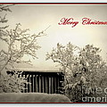 Snowy Christmas